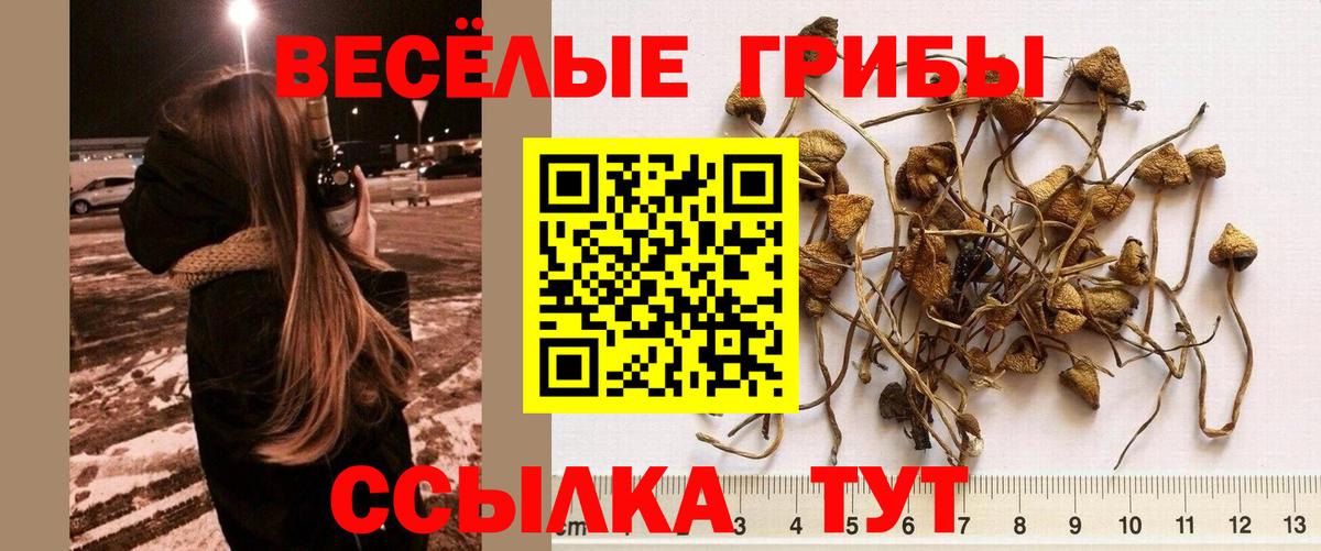 Галлюциногенные грибы Magic Shrooms  Псилоцибиновые грибы MAGIC MUSHROOMS  Сергиев Посад  Вход с VPN 